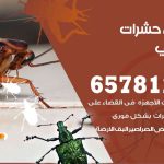 شركات مكافحة حشرات المنطقة العاشرة / 50050641 / افضل شركة مكافحة حشرات وقوارض