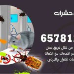 شركات مكافحة حشرات الرابية / 50050641 / افضل شركة مكافحة حشرات وقوارض