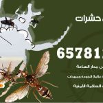 شركات مكافحة حشرات السرة / 50050641 / افضل شركة مكافحة حشرات وقوارض