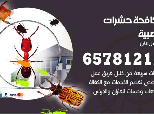 شركات مكافحة حشرات الصبية