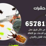 شركات مكافحة حشرات الضجيج / 50050641 / افضل شركة مكافحة حشرات وقوارض
