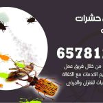 شركات مكافحة حشرات العبدلي / 50050641 / افضل شركة مكافحة حشرات وقوارض