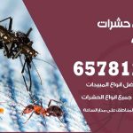 شركات مكافحة حشرات العديلية / 50050641 / افضل شركة مكافحة حشرات وقوارض