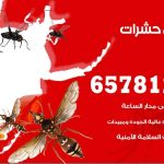 شركات مكافحة حشرات القصر / 50050641 / افضل شركة مكافحة حشرات وقوارض