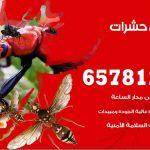شركات مكافحة حشرات النعيم / 50050641 / افضل شركة مكافحة حشرات وقوارض