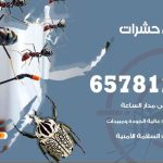 شركات مكافحة حشرات النهضة / 50050641 / افضل شركة مكافحة حشرات وقوارض