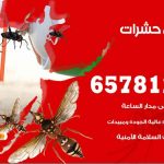 شركات مكافحة حشرات تيماء / 50050641 / افضل شركة مكافحة حشرات وقوارض