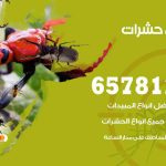 شركات مكافحة حشرات حولي / 50050641 / افضل شركة مكافحة حشرات وقوارض