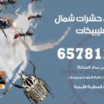 شركات مكافحة حشرات شمال غرب الصليبيخات / 50050641 / افضل شركة مكافحة حشرات وقوارض