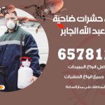 شركات مكافحة حشرات ضاحية مبارك العبدالله الجابر / 50050641 / افضل شركة مكافحة حشرات وقوارض