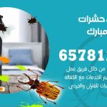 شركات مكافحة حشرات عبدالله مبارك / 50050641 / افضل شركة مكافحة حشرات وقوارض