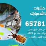 شركات مكافحة حشرات غرب عبدالله مبارك / 50050641 / افضل شركة مكافحة حشرات وقوارض