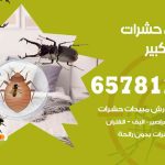 شركات مكافحة حشرات مبارك الكبير / 50050641 / افضل شركة مكافحة حشرات وقوارض