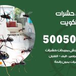 مكافحة حشرات وقوارض الكويت / 50050647 / شركة رش حشرات خصم 50%
