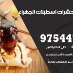 مكافحة حشرات وقوارض اسطبلات الجهراء / 50050647 / شركة رش حشرات خصم 50%