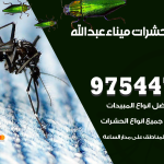 مكافحة حشرات وقوارض ميناء عبدالله / 50050647 / شركة رش حشرات خصم 50%
