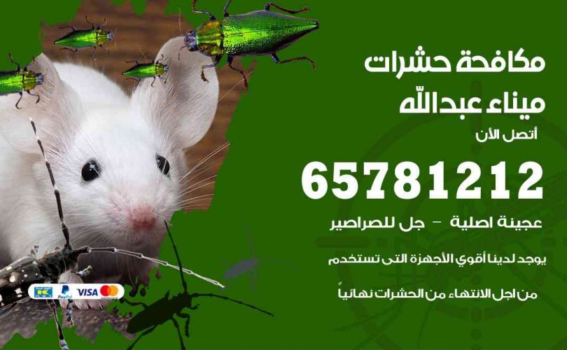 شركات مكافحة حشرات ميناء عبدالله