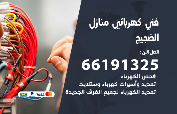 كهربائي الضجيج